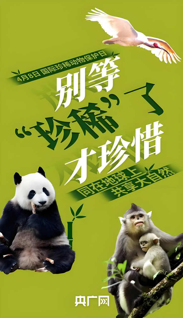 菠菜网站推广